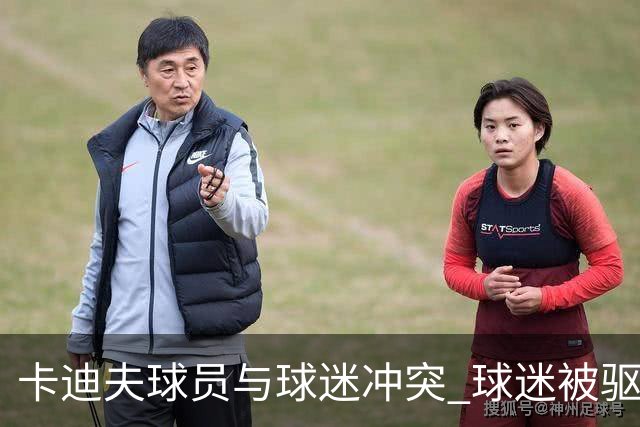 卡迪夫球员与球迷冲突 球迷被驱逐球员未受罚